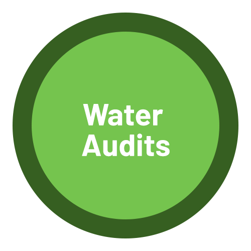 water audits